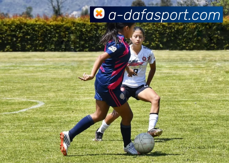 App Interface Preview